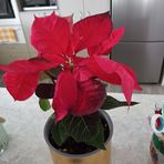 Josephine Eldridge - Facebook