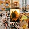 emilyjosephineferris - @sunflowertartss - TikTok