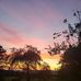 Josephine Gregory - Facebook