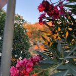 Jo - @josephine_hoyois - Instagram