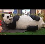 Josephine Ho - Facebook