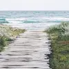 JosephineHopper7910 - @josephinehopper7910 - TikTok