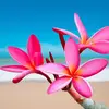 Josephinehopper - @joeyhopper54 - TikTok
