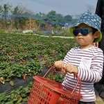 Josephine Hung - @josephine.hung.731 - Instagram