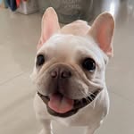 Josephine Hung - @grandmom_ahmine - Instagram