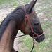 Josephine Lambert - Facebook