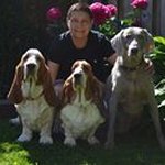 Josephine Lambert - @spoiledredbassets - Instagram