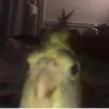 josephine - @josephinemayer_ - TikTok