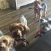 Josephine May - Facebook