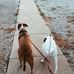 Josie King-McGregor - Facebook