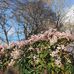 Josephine Phillips - Facebook