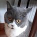 Josephine Poon - Facebook