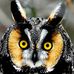 Josephine Proctor - Facebook