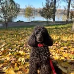 Josephine Simons - @jahillejoly - Instagram