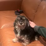 Josie Tanner - Facebook