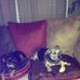 Josephine Tobin - Facebook