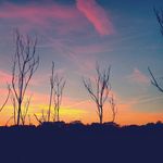Joséphine Waters - @josephinepoems - Instagram