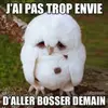 Josette Guy - @josette.guy7 - TikTok