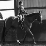 Joey Allen - @joey_the_ottb - Instagram
