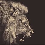 joey allen brocklehurst - @joeyallenbrocklehurst - Instagram