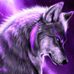Joseph White - Facebook