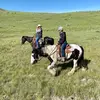 Josey_white - @josey_white22 - TikTok