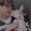 Asher & Leo💀 - @joshackerr - TikTok