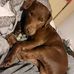 Josh Amos - Facebook