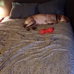 josh andersen - @joshandersen57 - Instagram