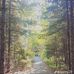 Joshua Andersen - Facebook