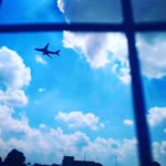 Josh Appleby - @joshua_appleby - Instagram