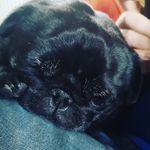 Josh Ashby - @josh_ashby7 - Instagram