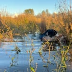 @josh___baird - Instagram