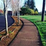 josh Baird - @josh.baird123 - Instagram