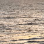 Joshua Ballinger - @documenting.the.light - Instagram