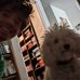 Josh Barry - Facebook