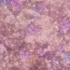 Josh BARRY - @1nv1t4t1on - TikTok
