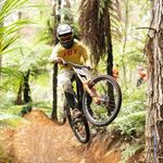 JOSHBARRY - @joshbarry01 - Instagram
