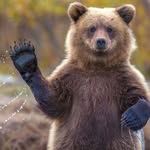 JoshBeiler89 - @joshbeiler89 - Instagram