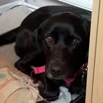 Josh - @josh_benham06 - Instagram