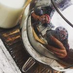 Josh Bentham - @joshy2boshy - Instagram