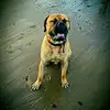 joshbentham560 - @joshbentham560 - TikTok