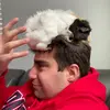 Josh Berkowitz - @josh_berkowitz - TikTok