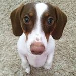 Josh Berlin - @josh.berlin.9 - Instagram