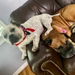 Josh Berliner Backup - @josh.berliner - Instagram