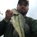 Joshua Biles - @joshuabiles - Instagram