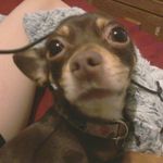 josh binkley - @binkley_josh - Instagram