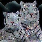 Joshua Binkley - @binkleyjoshua - Instagram