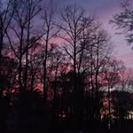Josh Blackburn - @fake_plastic_heart - Instagram