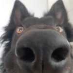 Josh Blackburn - @sir_joshua_blackman - Instagram